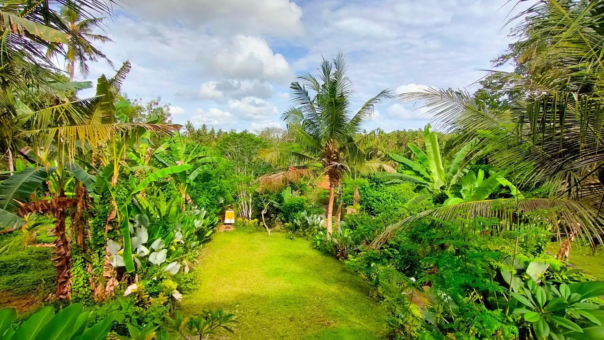 Bed & Breakfast D'Nanda Mini Hotel Ubud