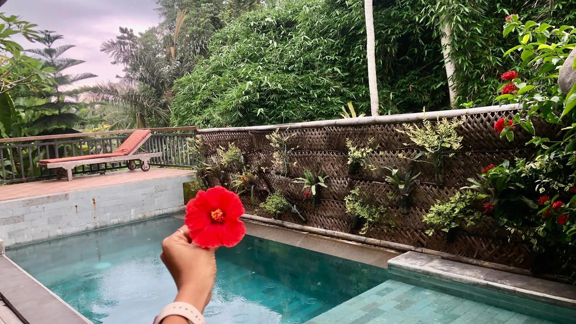 D'Nanda Mini Hotel Ubud 2*, Ubud (Bali)