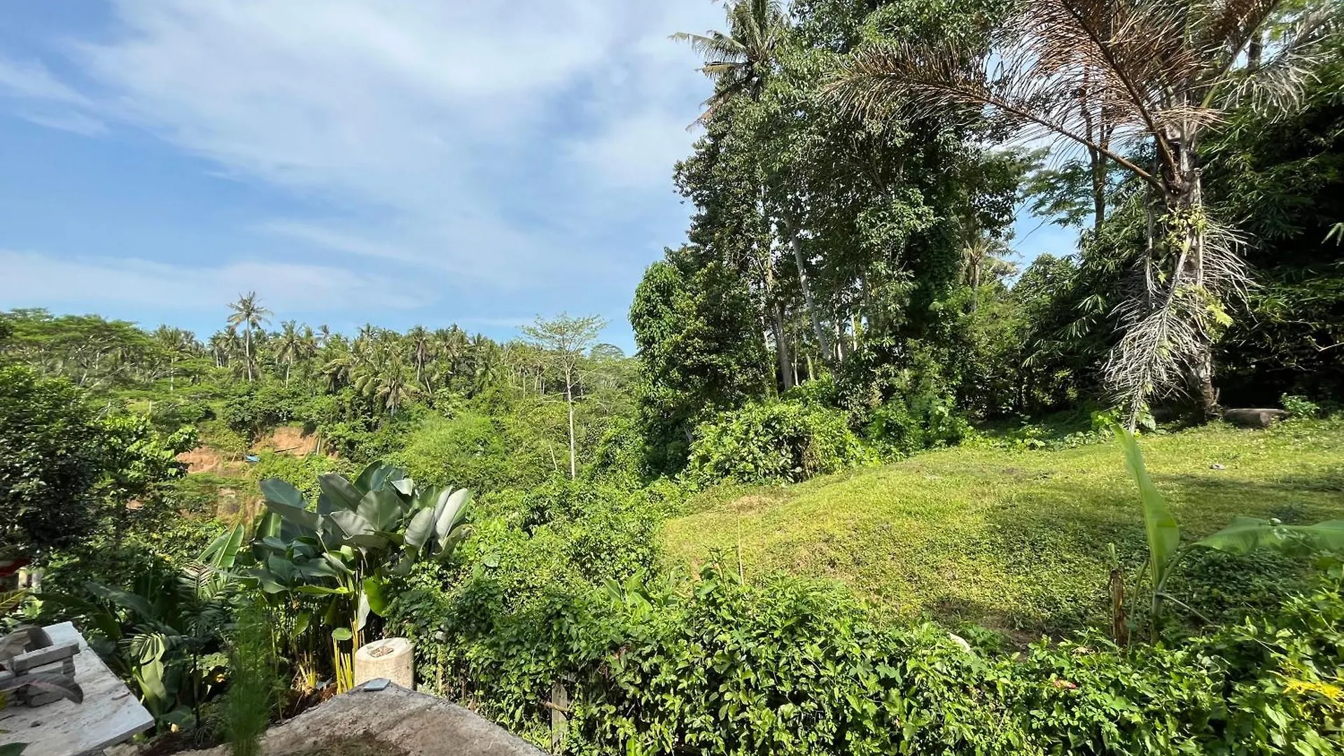 D'Nanda Mini Hotel Ubud