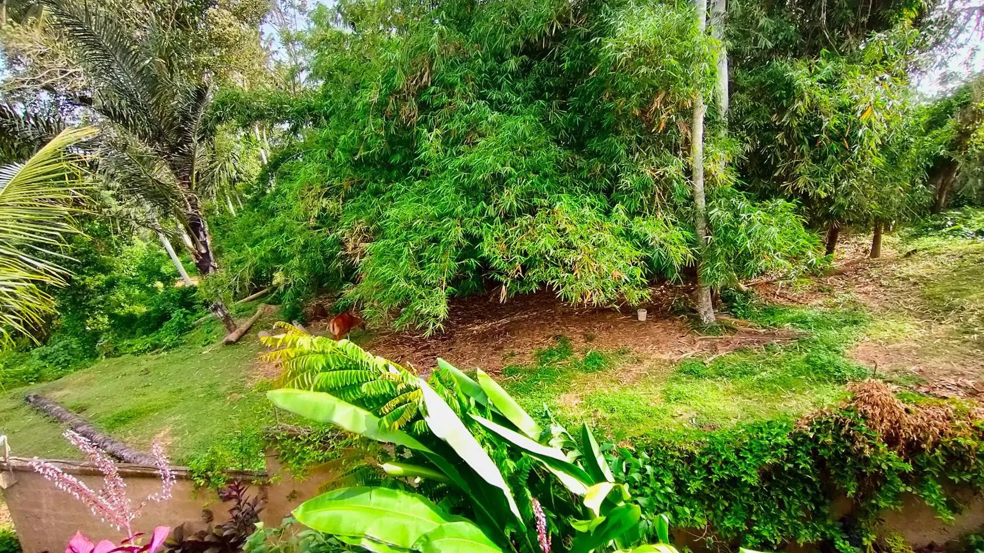 D'Nanda Mini Hotel Ubud 2*,